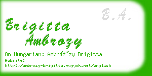 brigitta ambrozy business card